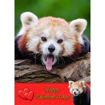Red Panda Valentine's Day Card