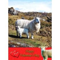 Sheep Valentine's Day Card