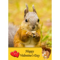 Squirrel Valentine's Day Card