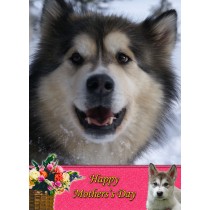 Alaskan Malamute Mother's Day Card