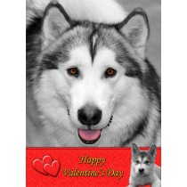 Alaskan Malamute Valentine's Day Card