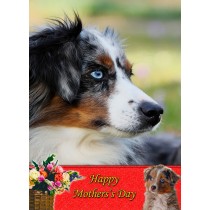 Australian Shepherd Mother's Day Card