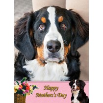 Bernese Mountain Dog Mother's Day Card