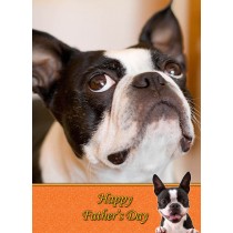 Boston Terrier Father's day card