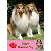 Rough Collie Valentine's Day Card