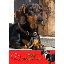 Dachshund Valentine's Day Card