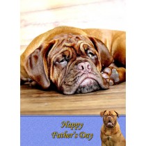 Dogue de Bordeaux Father's Day Card