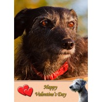 Lurcher Valentine's Day Card