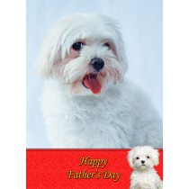Maltese Father's Day Card