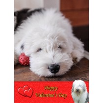 Old English Sheepdog Valentine's Day Card