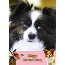 Papillon Mother's Day Card