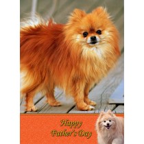 Pomeranian Father's Day Card