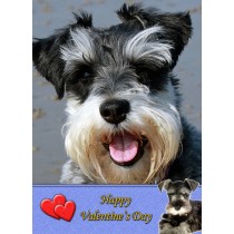 Miniature Schnauzer Valentine's Day Card