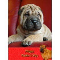 Shar Pei Father's Day Card
