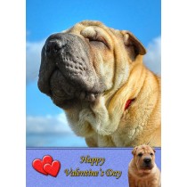 Shar Pei Valentine's Day Card