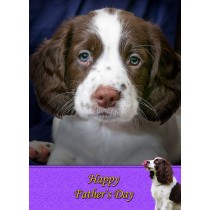 Springer Spaniel Father's Day Card