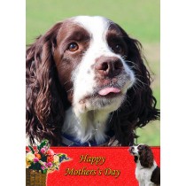 Springer Spaniel Mother's Day Card