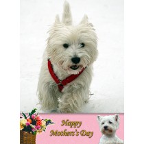 West Highland Terrier Mother's Day Card