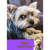Yorkshire Terrier Father's Day Card