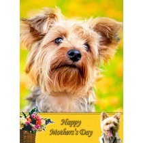 Yorkshire Terrier Mother's Day Card