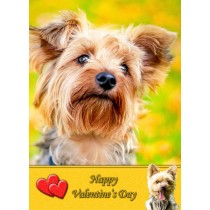 Yorkshire Terrier Valentine's Day Card