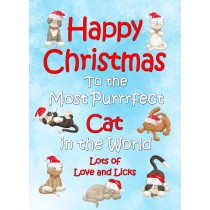 Christmas Card For the Cat (Purrrfect, Blue)