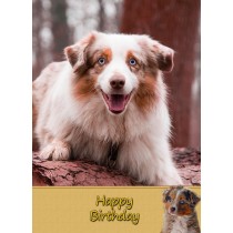 Australian Shepherd Dog Birthday Card