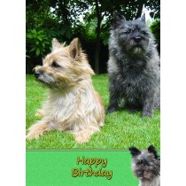 Cairn Terrier Birthday Card