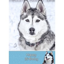 Husky Dog Birthday Card