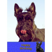 Scottish Terrier Dog Birthday Card