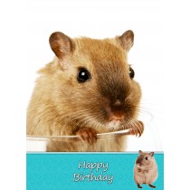 Gerbil Birthday Card