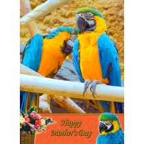 Parrot Mother's Day Card