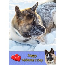 Akita Valentine's Day Card