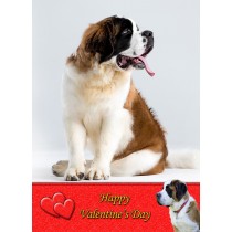 St Bernard Valentine's Day Card