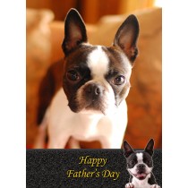 Boston Terrier Father's day card