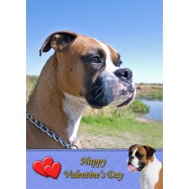 Boxer Valentine's Day Card