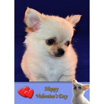 Chihuahua Valentine's Day Card