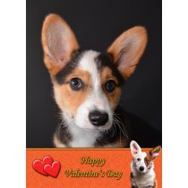Corgi Valentine's Day Card