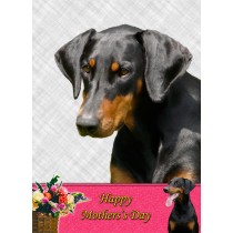 Doberman Mother's Day Card