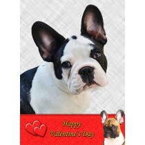 French Bulldog Valentine's Day Card
