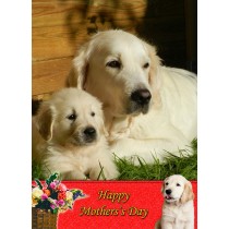Golden Retriever Mother's Day Card