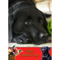 Black Labrador Mother's Day Card