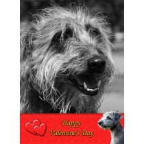 Lurcher Valentine's Day Card