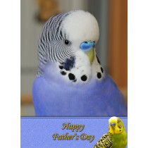Budgie Father's Day Card