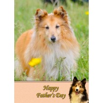 Shetland Sheepdog Father's Day Card