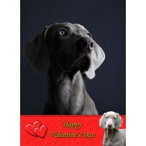 Weimaraner Valentine's Day Card