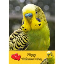 Budgie Valentine's Day Card