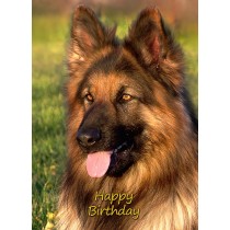 German Shepherd Birthday Card