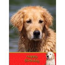 Golden Retriever Birthday Card