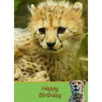 Cheetah Birthday Card